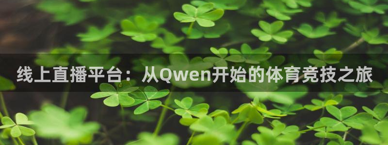 龙门直播体育直播：线上直播平台：从Qwen开始的体育竞技之旅