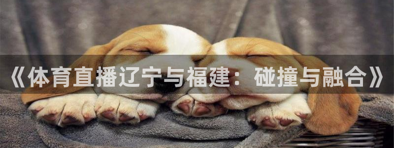 下载龙门直播：《体育直播辽宁与福建：碰撞与融合》