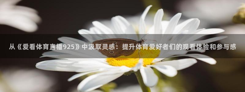 龙门直播吧：从《爱看体育直播925》中汲取灵感：提升体育爱好者们的观看体验和参与感
