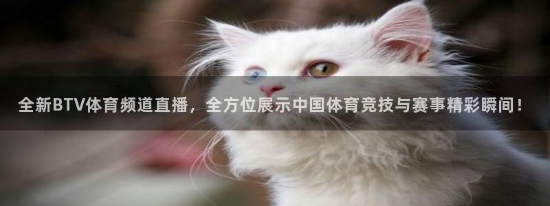 龙门镖局1.5在线观看免费完整版：全新BTV体育频道直播，全方位展示中国体育竞技与赛事精彩瞬间！