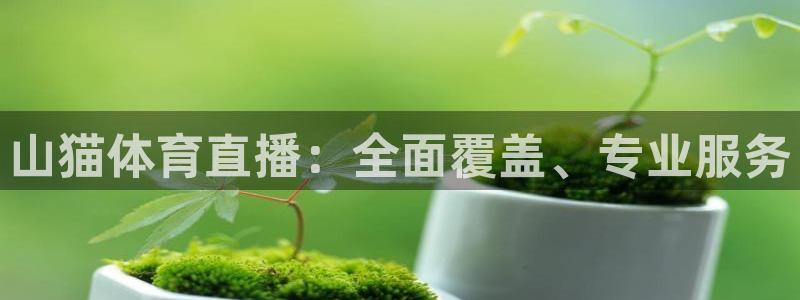下载龙门体育直播：山猫体育直播：全面覆盖、专业服务