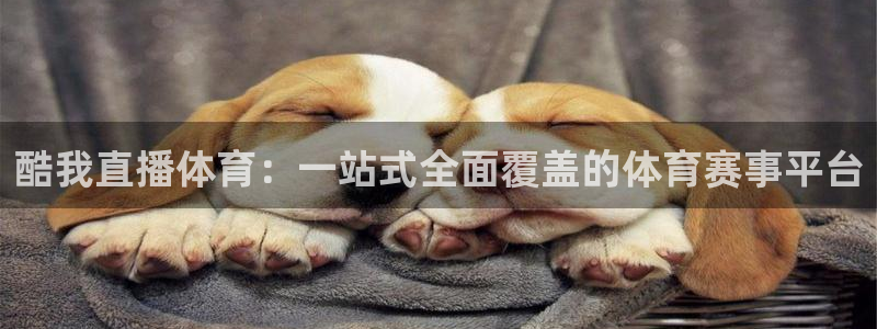 龙门nba免费直播：酷我直播体育：一站式全面覆盖的体育赛事平台