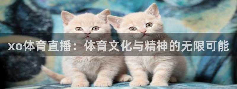 nba直播龙门：xo体育直播：体育文化与精神的无限可能