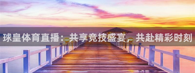 中超龙门直播：球皇体育直播：共享竞技盛宴，共赴精彩时刻