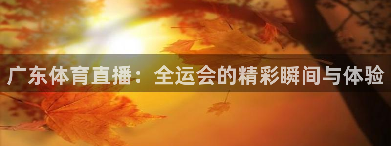 龙门直播下载：广东体育直播：全运会的精彩瞬间与体验