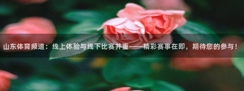 龙门直播nba免费直播下载：山东体育频道：线上体验与线下比赛并重——精彩赛事在即，期待您的参与！