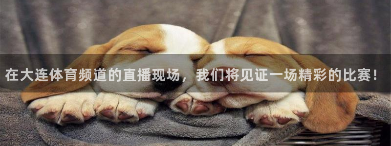下载龙门体育直播：在大连体育频道的直播现场，我们将见证一场精彩的比赛！