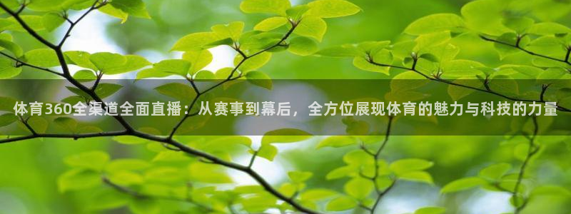 咪咕视频体育直播龙门：体育360全渠道全面直播：从赛事到幕后，全方位展现体育的魅力与科技的力量
