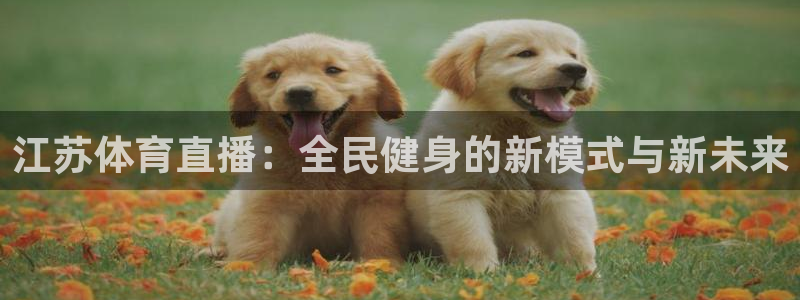 龙门直播间：江苏体育直播：全民健身的新模式与新未来